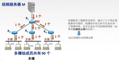 4.6 计算机网络之网络层 IP组播、IGMP与组播路由选择协议详解