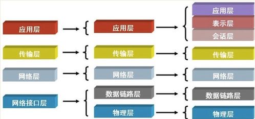 计算机网络基础与工程服务 从架构到协议全解析