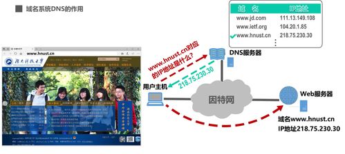 计算机网络第6章 应用层——计算机网络系统工程服务的关键解析